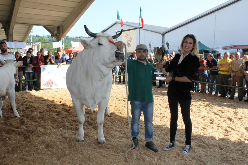 RACI, vince la vacca Bella