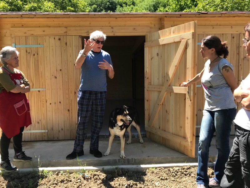 Prima casa nelle Marche per cani anziani